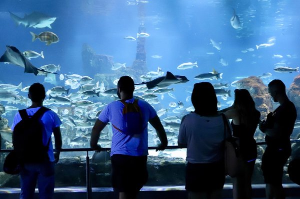 Quels sont les différents types d'aquariums disponibles et leurs caractéristiques ?