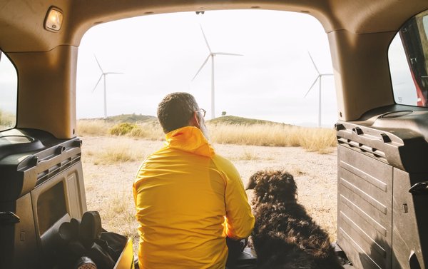 Animaux de compagnie : histoires drôles, touchantes et inspirantes