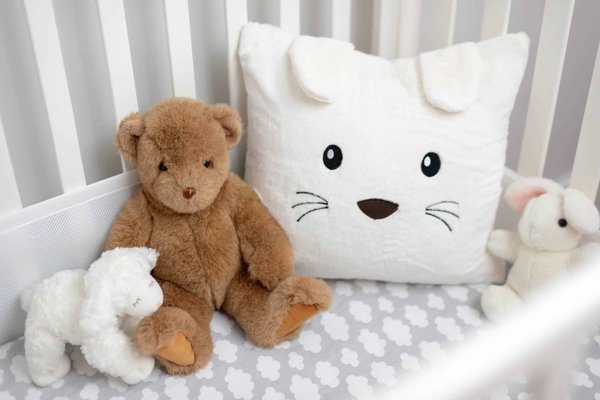 Rencontrez votre spécialiste des peluches animaux